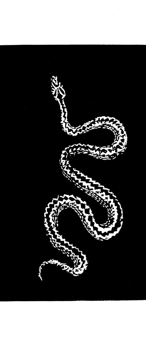 Snake by Bob Cooper