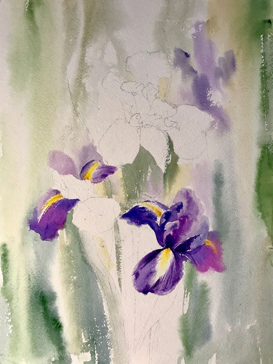 Irises