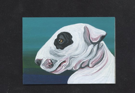 ACEO ATC Original Miniature Painting  White Bull Terrier Pet Dog Art-Carla Smale