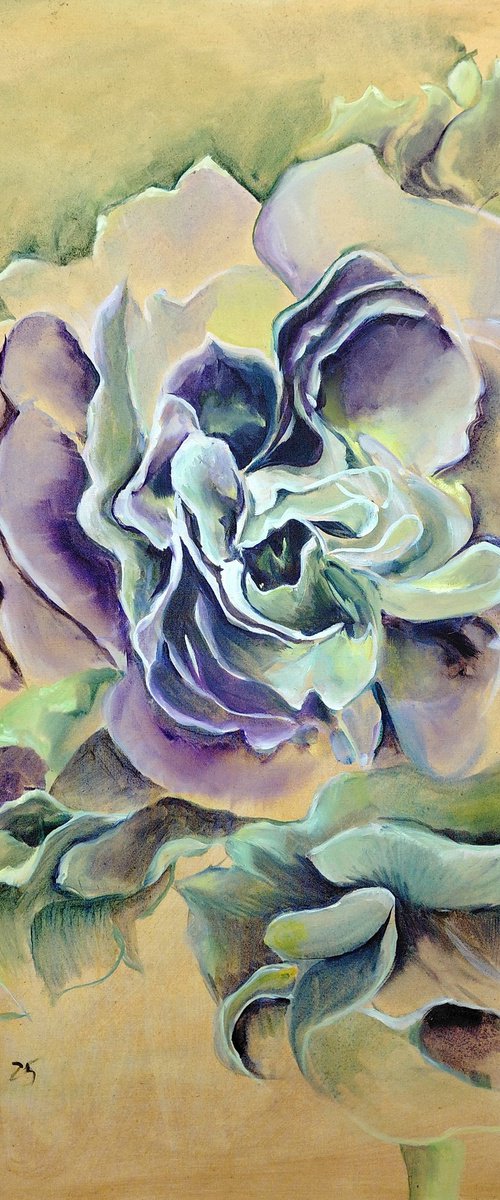 Soft and shimmering by Karolina Franceschini