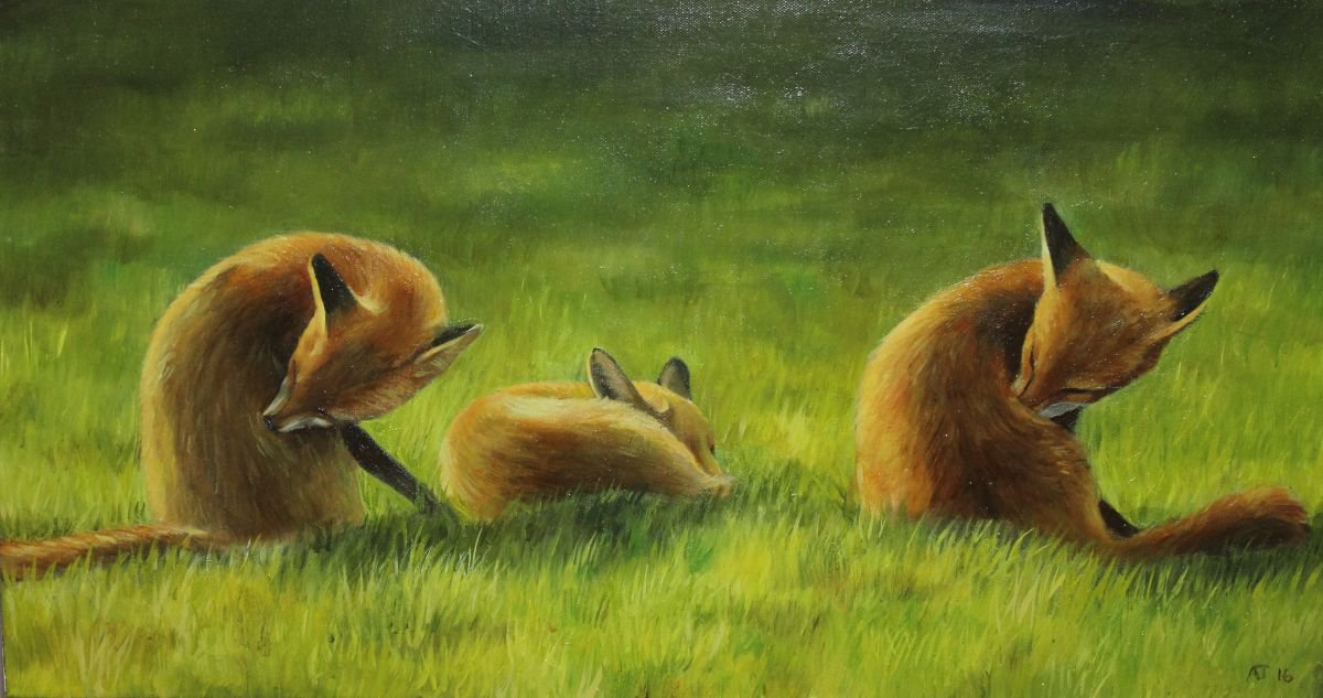 Foxes in the Sun Vol 2 by Alex Jabore Paintings and Prints