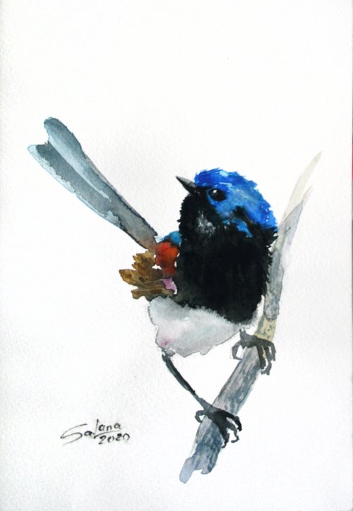 Bird I - Animal portrait /  ORIGINAL PAINTING by Salana Art Gallery