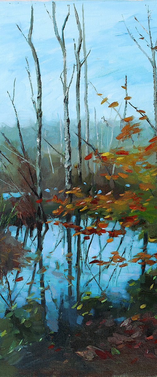 Late Fall, Sandy Creek by Mei He