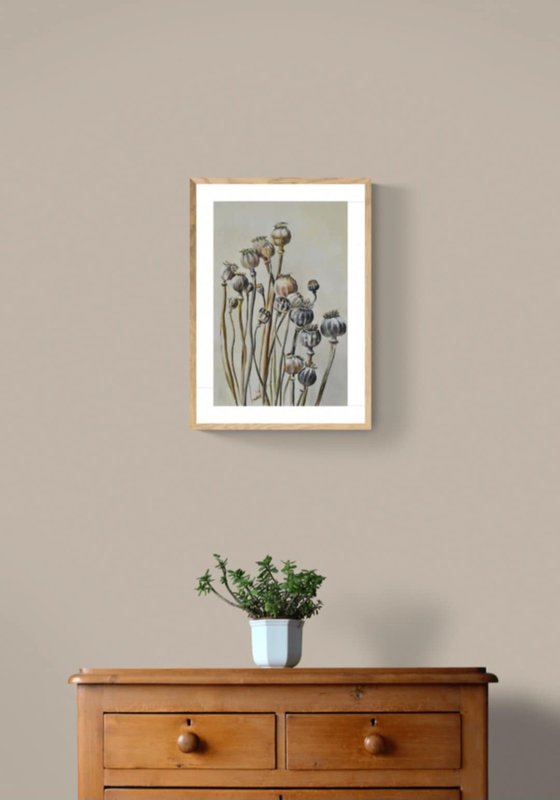 Pastel Poppy Pods