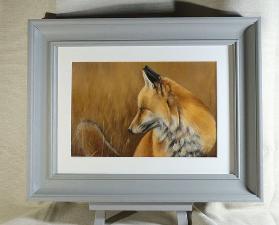 'In long Grass', Fox Painting, Framed and Ready to Hang