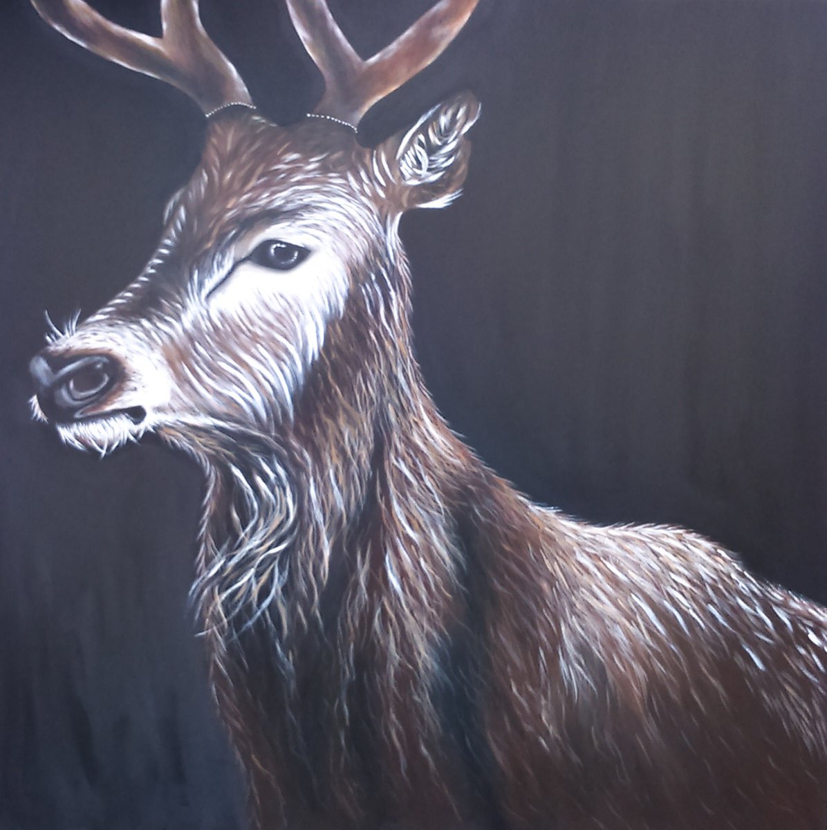 Photorealistic Animal Acrylic Painting By Christina Bilbili, 31 X 31, Deer, Original Artwork