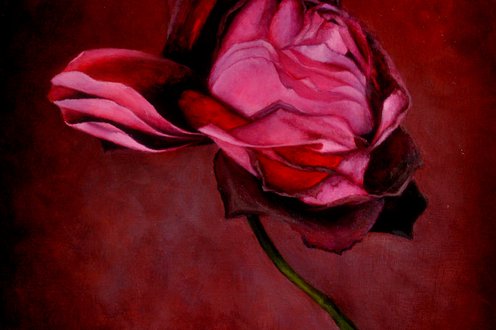 Cover image for Viva Magenta collection