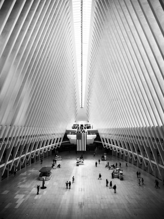 THE OCULUS