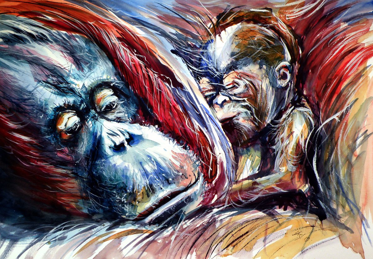 Orangutan with baby by Kovacs Anna Brigitta