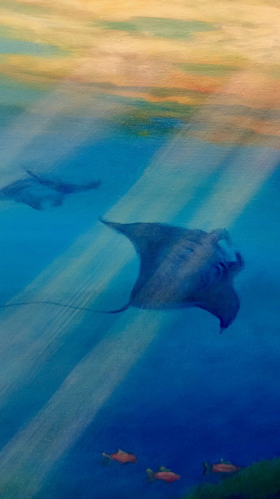 Pacific Rays