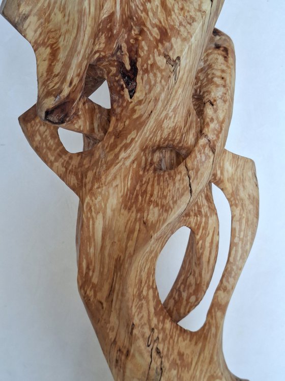 Birch bird