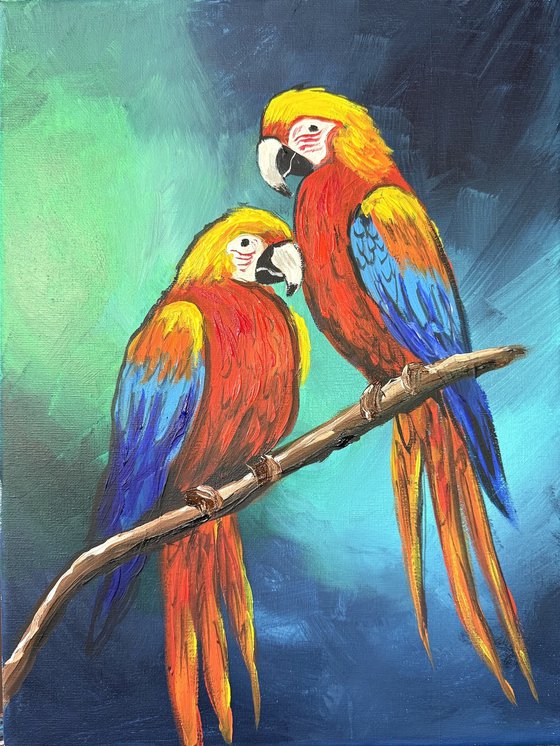 Vibrant Macaws