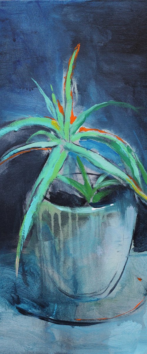 Aloe by Artem Andreichuk