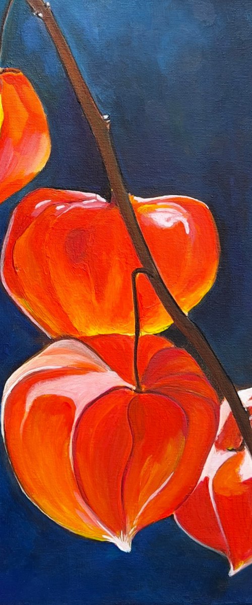 The Light of Nature’s Chinese Lanterns. by Elena Bogatova