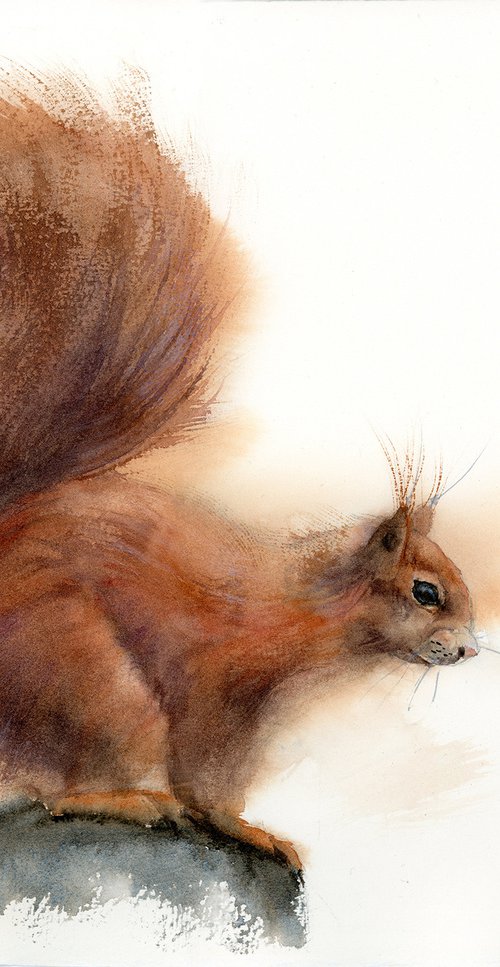 Squirrel by Olga Tchefranov (Shefranov)