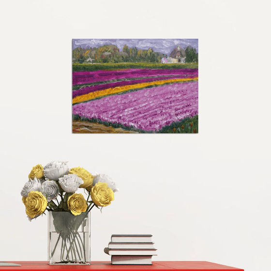 Tulip fields 2017