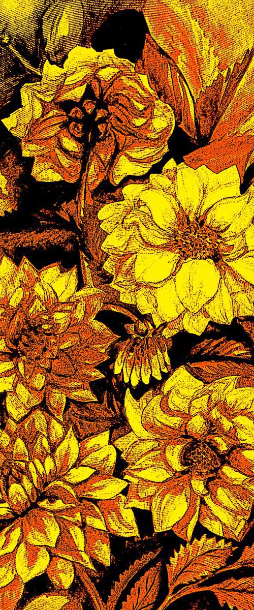 Chrysanthemums in yellow by Julia Gogol