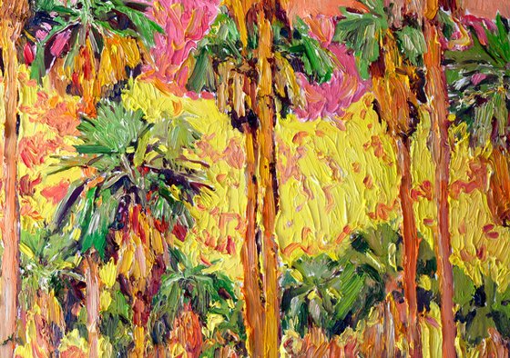 Desert Palm Trees