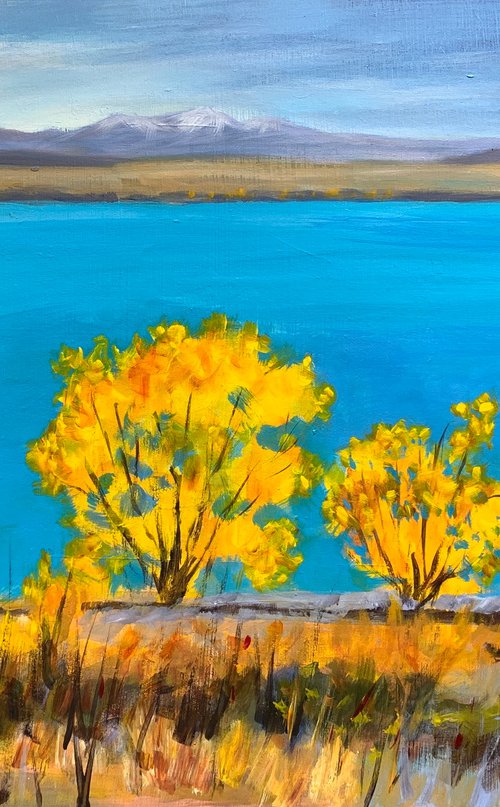 Van Gogh’s dream by Shelly Du
