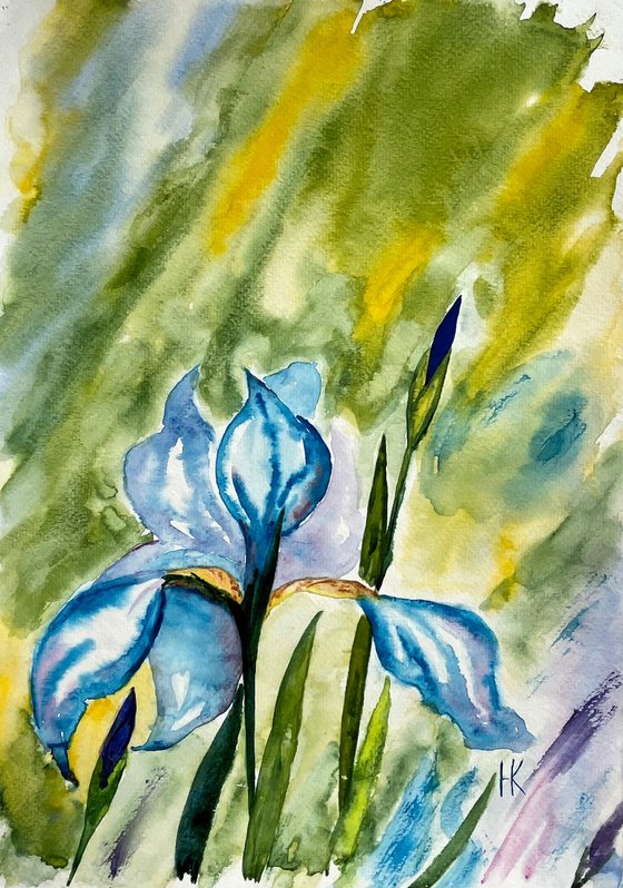 Iris Painting