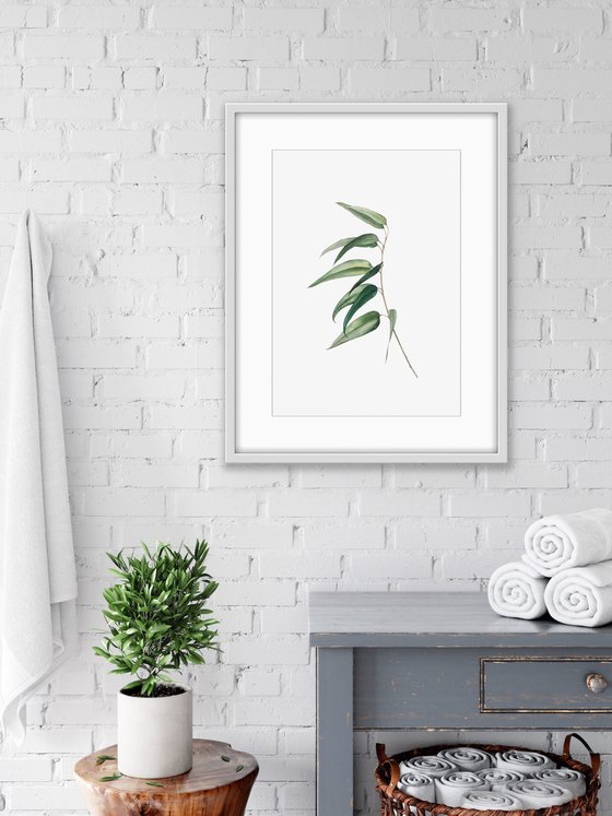 Eucalyptus dance. Original watercolour artwork.