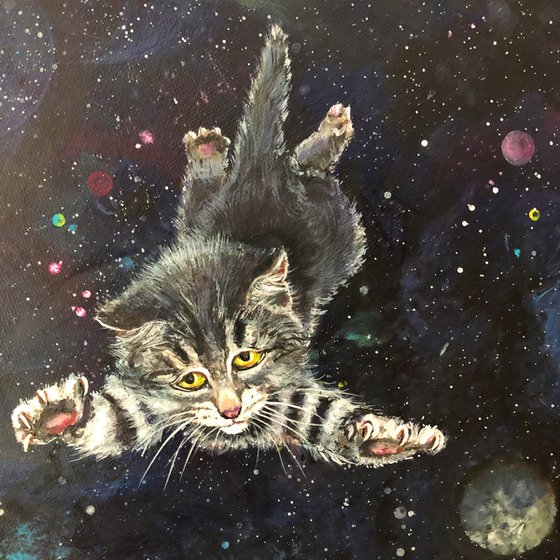 Kittens in space