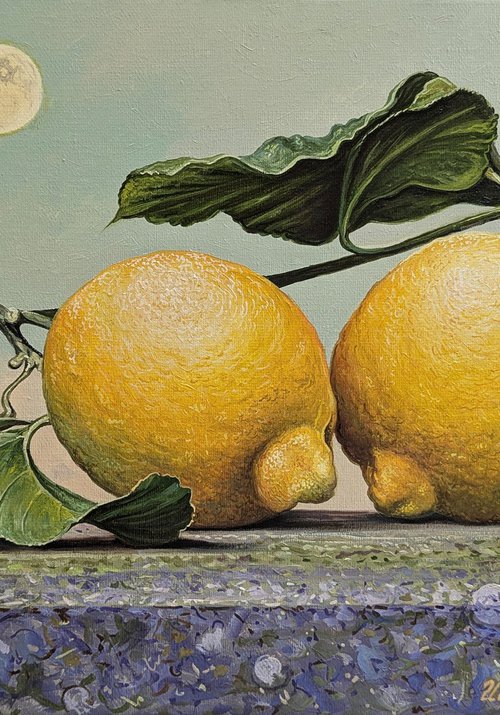 Still Life Under the Moon by Stepan Ohanyan