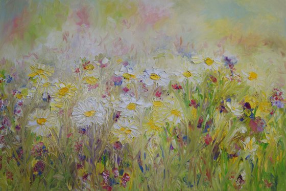 Summer Daisies