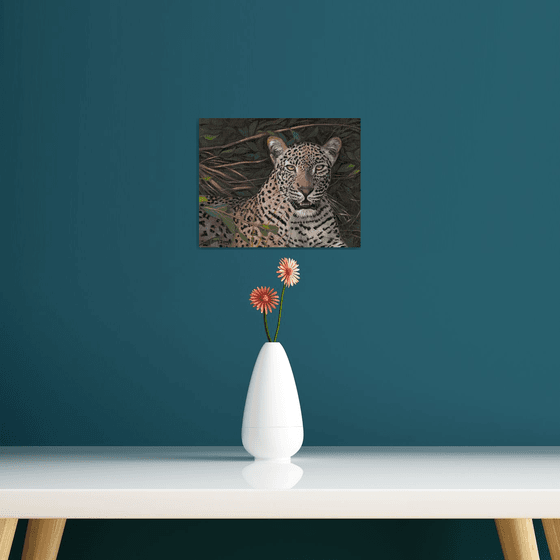 Leopard portrait