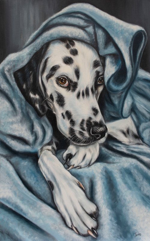 Dalmatian 'Soft Blanket' by Irina Petrova