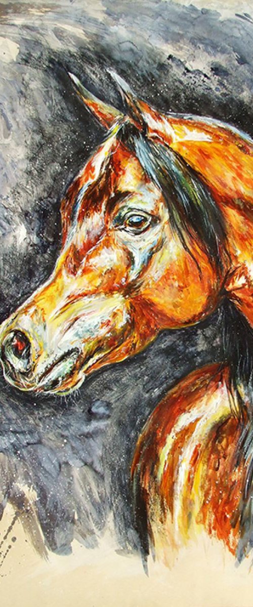 Beauty - Portrait of a horse by Anna Sidi-Yacoub