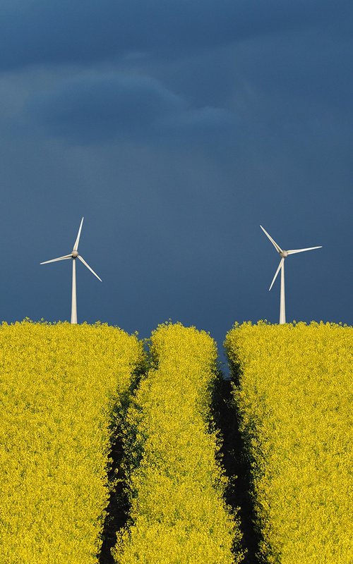 Windmills by Jacek Falmur