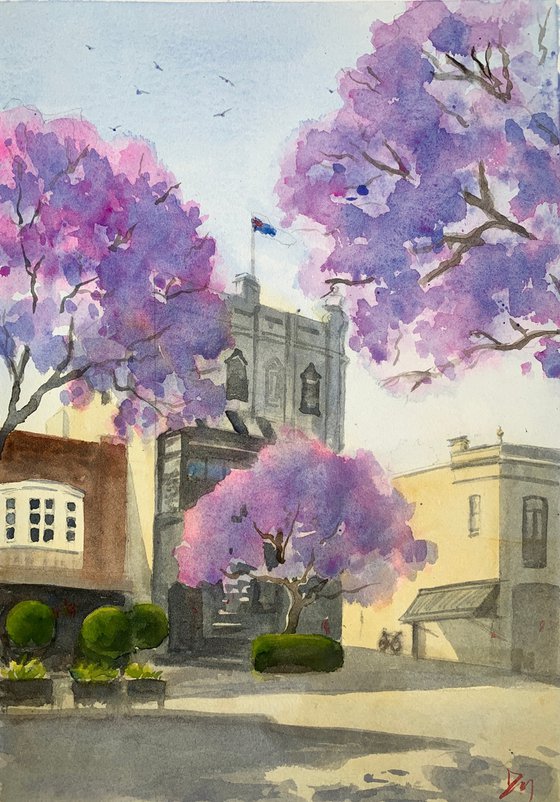 Five way Paddington in Jacaranda season