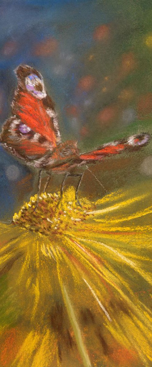 Happy Butterfly - Original Soft Pastel Painting by Monika Wisniewska Amaviael