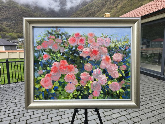 Roses in Bloom