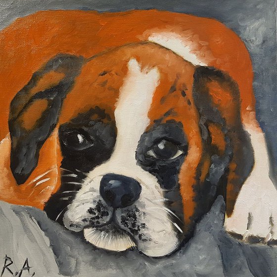 Boxer dog life 30*30 cm