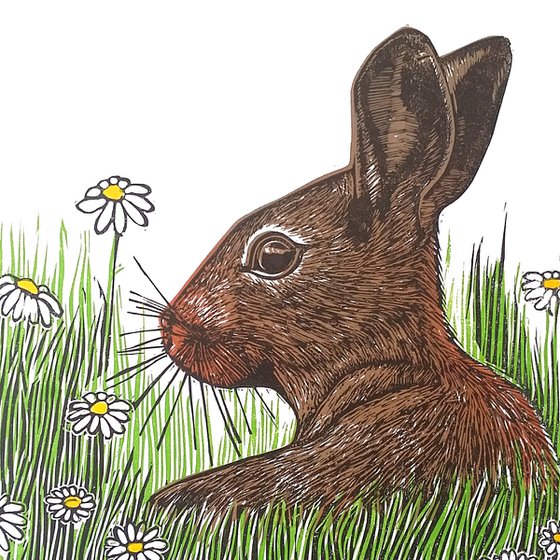 Summer daze (Rabbit in a daisy / wildflower meadow linopint) Ready to hang