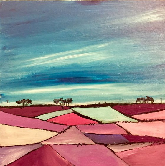 Violet Fields