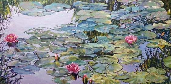 The Lily Pond