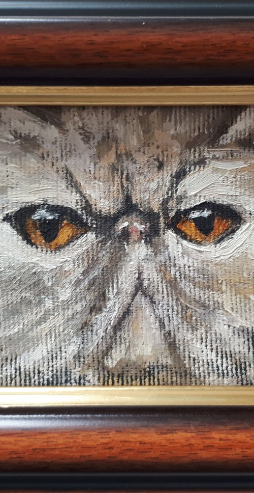 CAT V framed / FROM MY A SERIES OF MINI WORKS CATS/ ORIGINAL OIL PAINTING by Salana Art