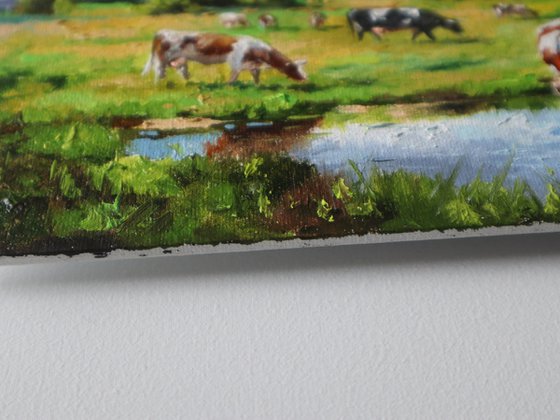 Grazing Cows