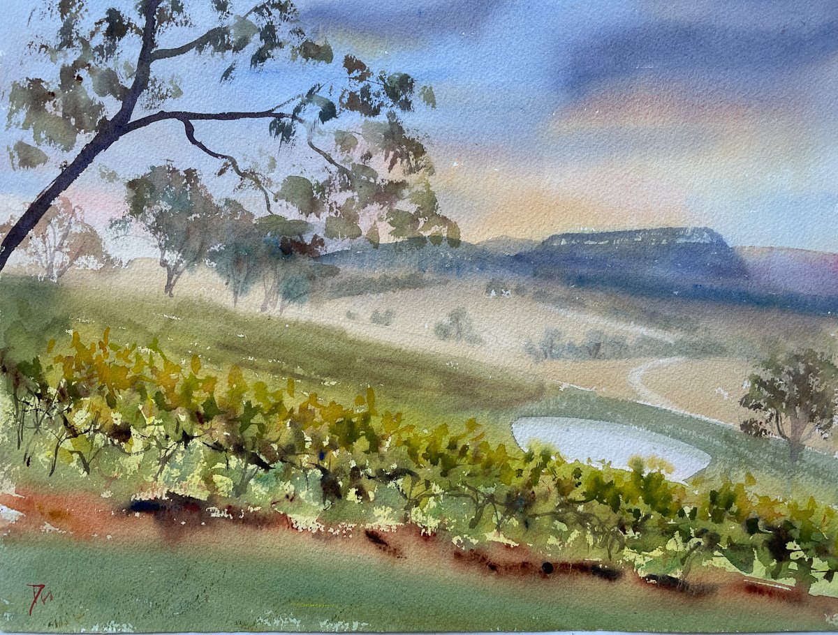 Blue mountain sunrise - Megalong valley by Shelly Du