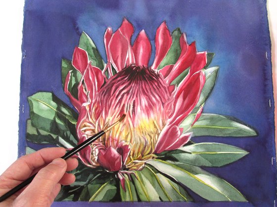 protea watercolor