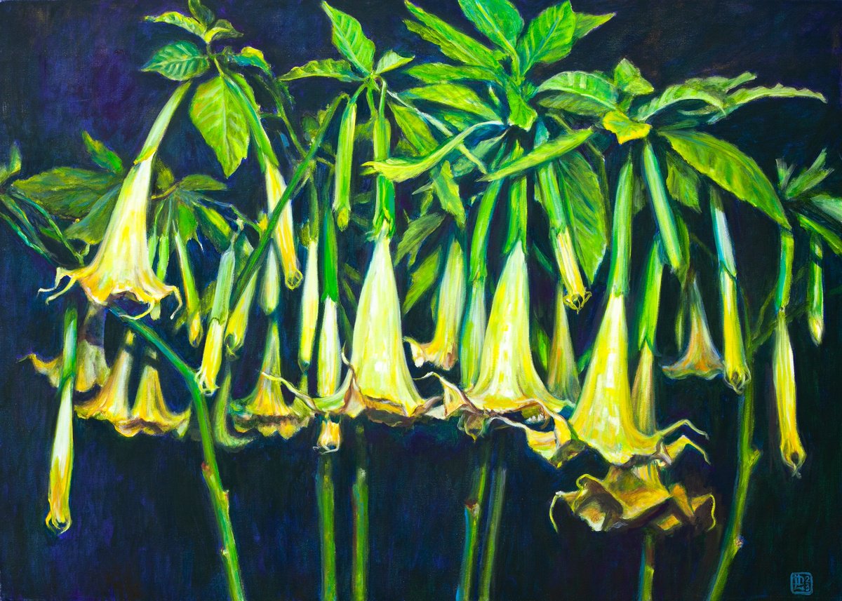 Photorealistic Botanical Oil Painting By Liudmila Pisliakova, 28 X 20", Angels Trumpets, Original Artwork