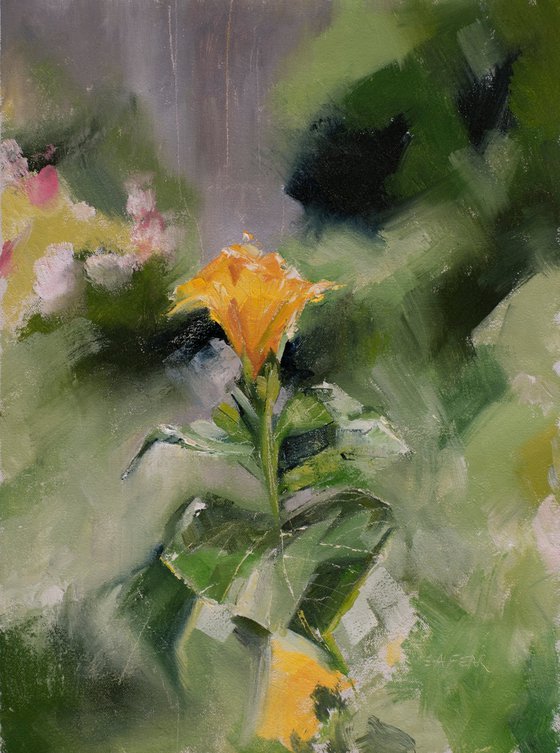 Squash Blossom