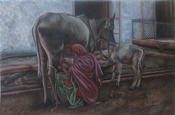 Indian Woman Milking the Cow