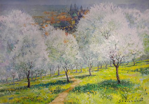Prague Petrin Garden Cherry Blossoms by Yuriy Shevchuk