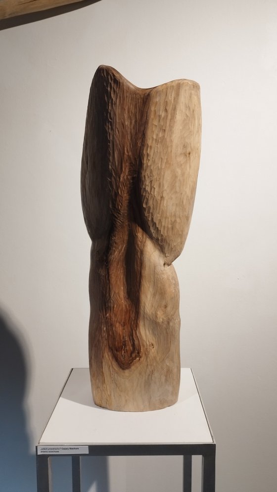 Torso