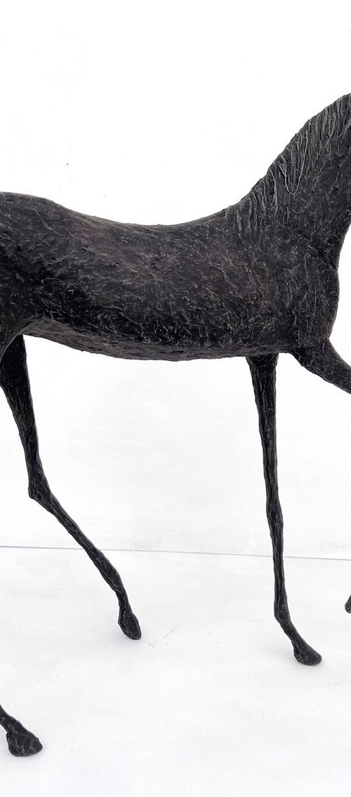 Maysa by Alexandra Shorey