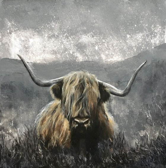 Highland cow art, Grey Highlands